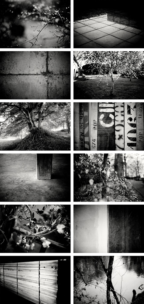 Sue Callister Photography